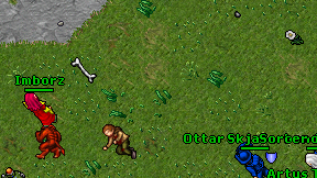 Imborz on screen