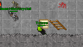 Trizze on screen