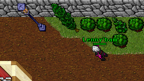 Lenny'bam on screen