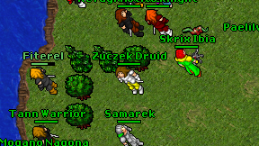 Zuczek Druid on screen