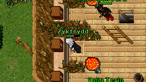 Zykfrydd on screen
