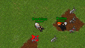 Barbiqu on screen