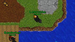 Lebrunhe on screen