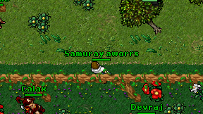 Samuray aworrs on screen
