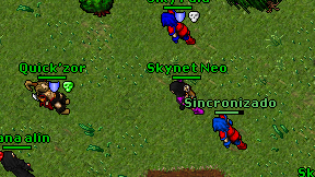 Skynet Neo on screen