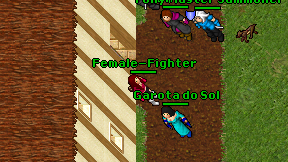 Female-Fighter on screen