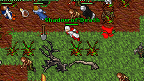 Shadow of'Death on screen