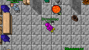 Druddes on screen