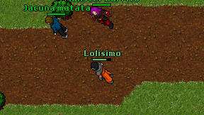 Lolisimo on screen