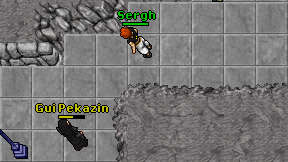 Gui Pekazin on screen