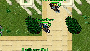 Coco Dev on screen