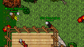Sir Moszka on screen
