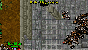 Bob-Morrison on screen