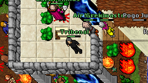 Tribenal on screen