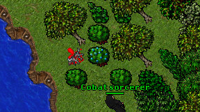 Cobat sorcerer on screen