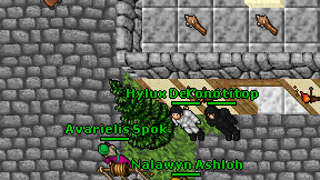 Konotitop on screen