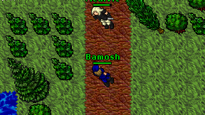 Bamosh on screen