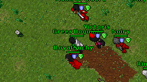 Grees Hoguard on screen