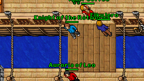 Knight of the Rotworms on screen