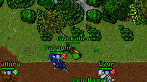 Grickalica on screen