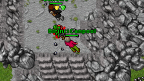 Birinci Canpool on screen
