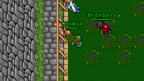Chimja on screen