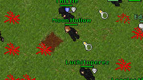 Moon Hollow on screen