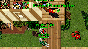 Leady Tjik on screen