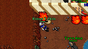 Rinus Tekin on screen
