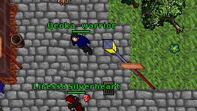 Qeoka-warrior on screen