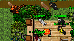 Czarny pise on screen