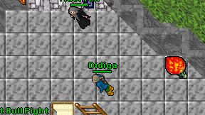 Didiga on screen