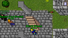 Keck Dwas on screen