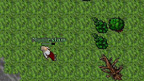 Munieslaw on screen