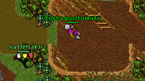 Yoshymontomoto on screen
