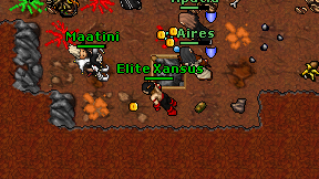 Elite Xansus on screen