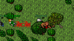 Snowai on screen