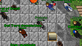 Puneis on screen