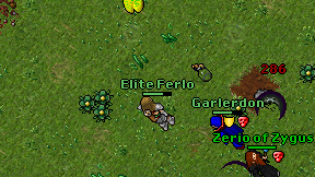 Elite Ferlo on screen