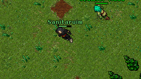 Sanitaruim on screen