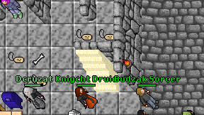 Knigcht Druid on screen