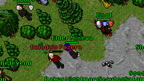 Elder Mineva on screen