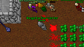 Vegeta Sorcerer on screen