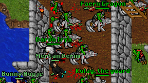 Faern Gragon on screen