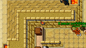 Nake Zina on screen