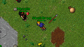 Skull Brag on screen