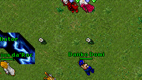 Danko Domi on screen