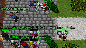 Druid-Dero on screen