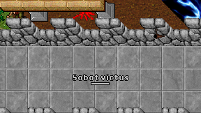 Sobot victus on screen