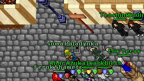 Nowa Paladynka on screen